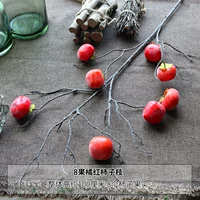 8 Фруктовая апельсиновая ветка