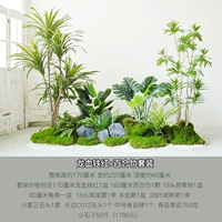 Dragon Blood Iron Red+Lily Bamboo Set Set