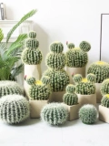 Имитация кактуса, декоративные украшения, большой комнатный кактус, тропические пустынные зеленые растения, ландшафтный дизайн, витрина магазина