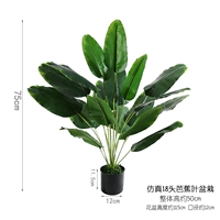 Имитация 18 горшечных растений с банановыми листьями