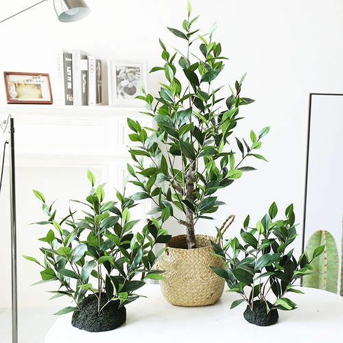 Имитация зеленого растения в ландшафтном дизайне, мох с плоским дном, витрина магазина, угловая ландшафтная планировка лестницы, подбор материала из зеленых листьев