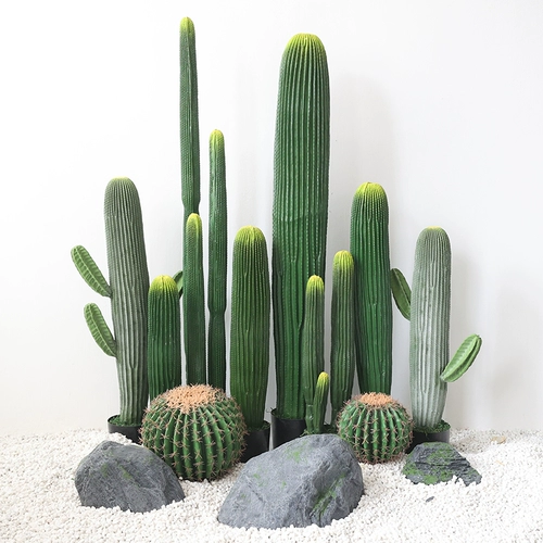Имитационный кактус ландшафтный дизайн крупный фальшивый сумма скайфилд сказочные колонны Dixplation, Net Red INS, зеленый завод бонсай