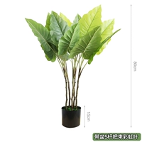 Принесите 5 полюсов кастрюли, чтобы положить листья радуги