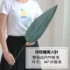 Спящая красавица лист