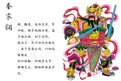 Stainless steel martial arts double Mace double whip plum blossom double whip Qin Qiong double Mace big body ancient whip delivery bag