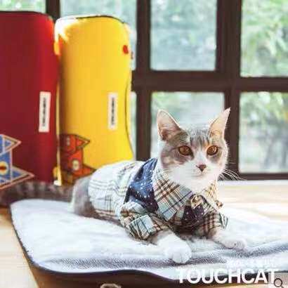 Touchdog It Touchcat Cat with a fluff pad Reel Cat Nest Fun Cat Nest Dual Used Cat Nest