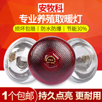 Pig heat preservation lamp breeding special heating lamp chicken piglet brooding veterinary heating lamp heating lamp heating bulb