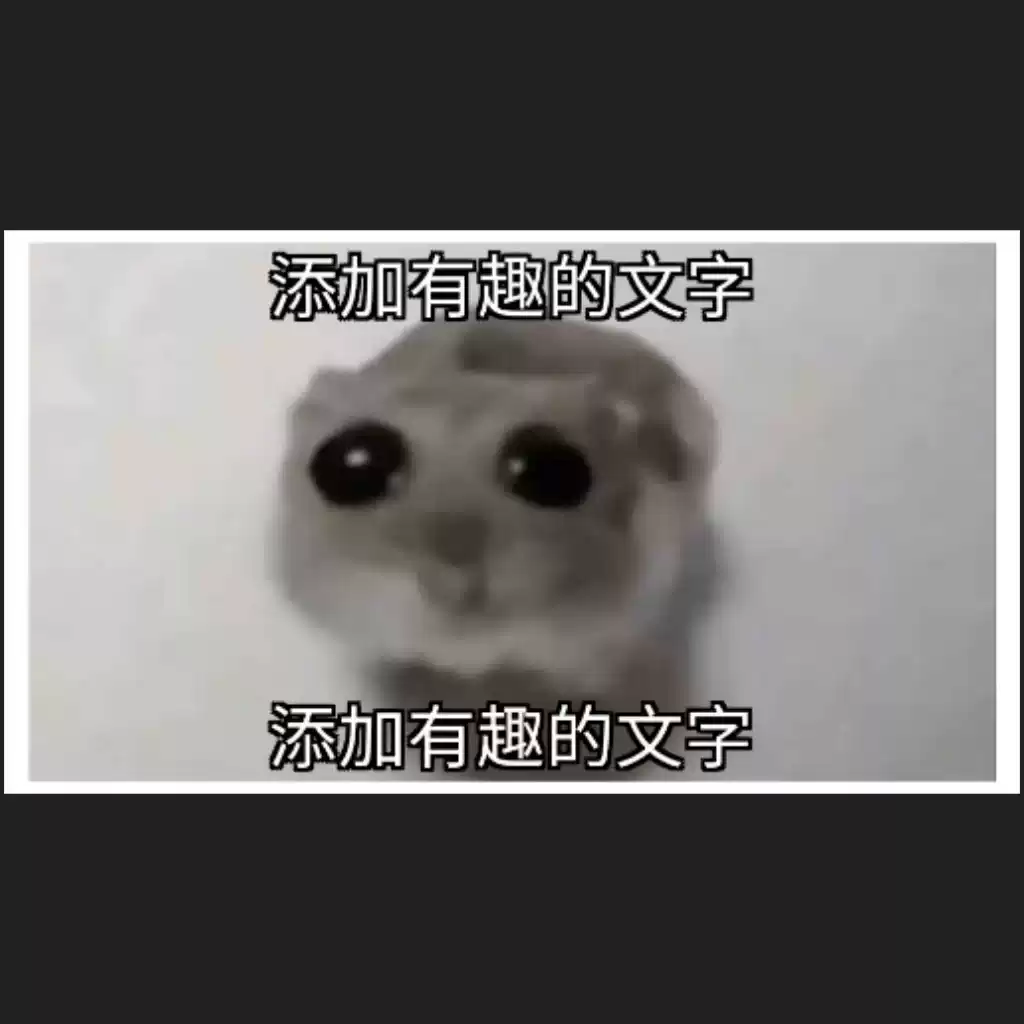 兩人指着驚訝發現驚奇哇meme 梗圖模板