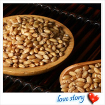 New cargo Huai wheat 500g kganmai Chinese date soup raw material Huaiwheat