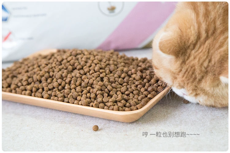 Renke hai catties Vận chuyển miễn phí Bỉ Imperial Paw Châu Âu Tự làm Mèo Thực phẩm Mèo con Mèo trưởng thành 500g Gói dùng thử - Cat Staples