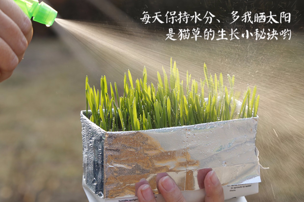 Renke Pet VETRESKA Uncat Cat Grass Paper Bag Cultation to Hair Ball Cat Snacks Hair Hair Hair Hair - Đồ ăn nhẹ cho mèo royal canin cho mèo