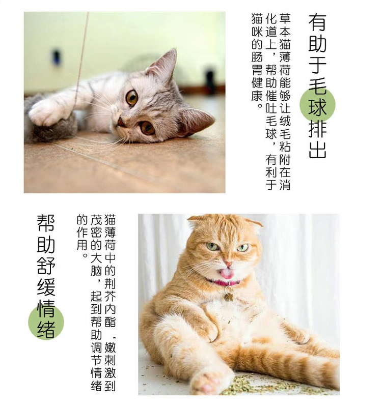 Liếm Le catnip bột mèo đường laser trêu chọc mèo dính mèo đồ chơi bộ đồ ăn mèo Mu Tian Li từ Hei Mofang - Mèo / Chó Đồ chơi