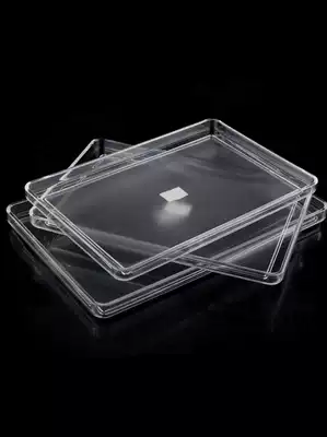 Acrylic tray Transparent frosted plastic plate Rectangular hotel guest room storage cup plate black 8106