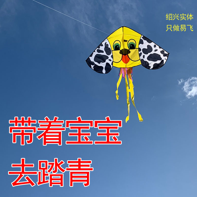 Puppy Ahuang kite Yicheng Brand Shaoxing Entity can play with Baby Park for fun in the offing town