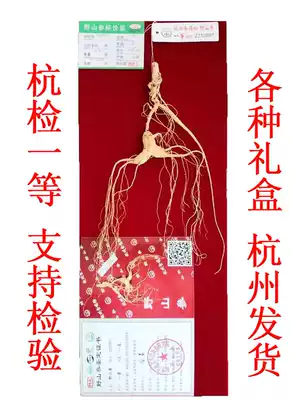 Hangjian Wild Mountain Ginseng First-class Hangjian Ginseng Changbai Mountain Ginseng Northeast Ginseng Hangjian Wild Mountain Ginseng Ginseng