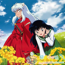 HD Inuyasha DVD Complete TV Edition 1-197 Episode Classic Taiwanese Mandarin Dubbing Home dvd Drive