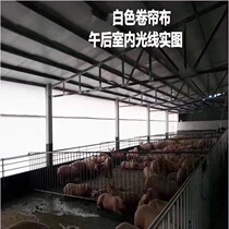 Farm roller curtain Breeding equipment Roller curtain machine Taiwan Buwens pig farm roller curtain breeding PE canvas