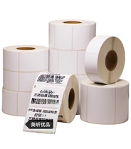 Three-proof 100×300×150 label paper