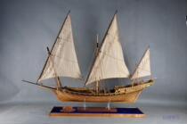 1: 48 Full solid wood carving full rib shark number