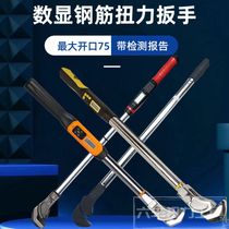 Digital display mechanical torque wrench high-precision large opening detection steel sleeve pipe pliers water pipe pliers
