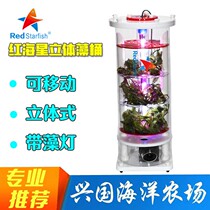 Red Sea Starred Algae Barrels Algae Cubic movable algae cylinders Seawater Coral Bottom Vat algal Divine Divine Instrumental ATS Seaweed