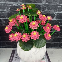 Crystal Lotus-Watermelon Red No Vase делает это самостоятельно