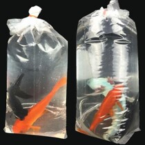 Ornamental fish medicine cold water sea freshwater tropical fish goldfish fry resistant to live well easy to live oxygenated transport special fish medicine