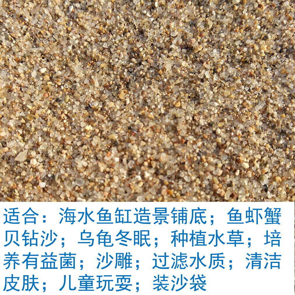 天然海沙黄色儿童沙子造景海缸底沙海砂子海水生态沙天然海砂种植
