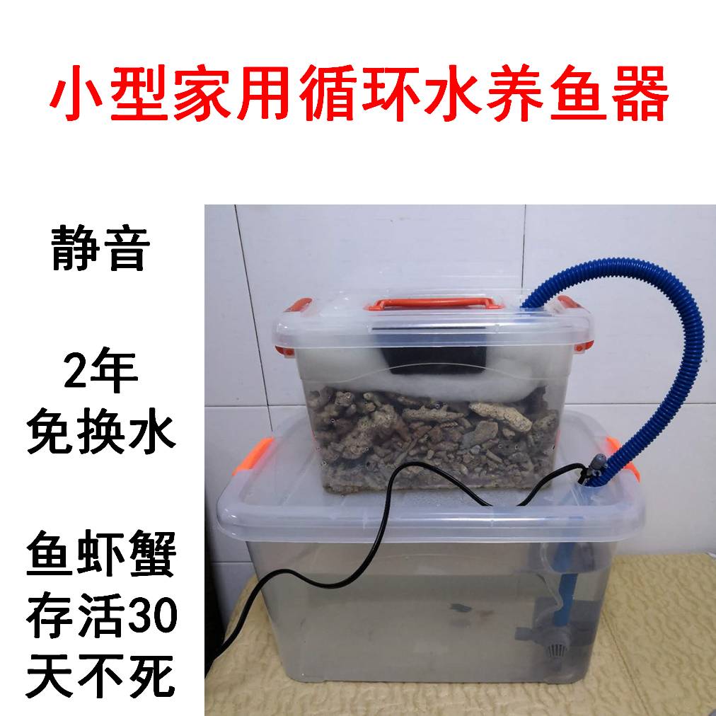 小型鱼池净化循环水设备家庭小鱼缸养鱼自动循环水系统养鱼神器