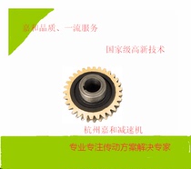 Hangzhou Jiahe reducer special turbine WPA4050607080100120 etc