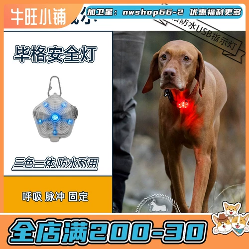 Niuwang Shop American RW Rafwell Light Light Light High Waterprostic USB Индикатор безопасности домашних животных Ночной свет