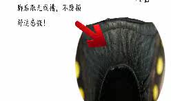 Patins à roulettes - Ref 2589231 Image 15