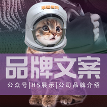 Professional original copywriting video animation script custom live speech editing H5 public number typesetting and writing