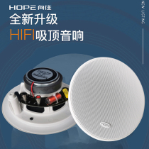 E longing for 709710707 suction top horn ceiling sound background music speaker 8 O coaxial set resistance