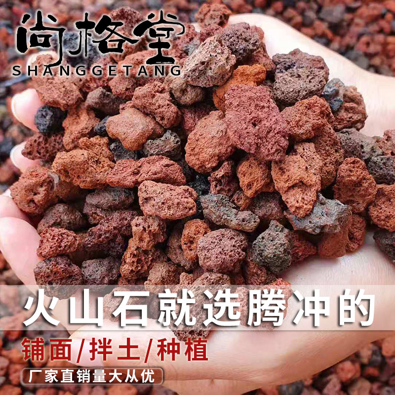 Volcanic stone pellet orchid special nutrient soil paving stone fleshy potted volcanic rock household plant breathable aquarium