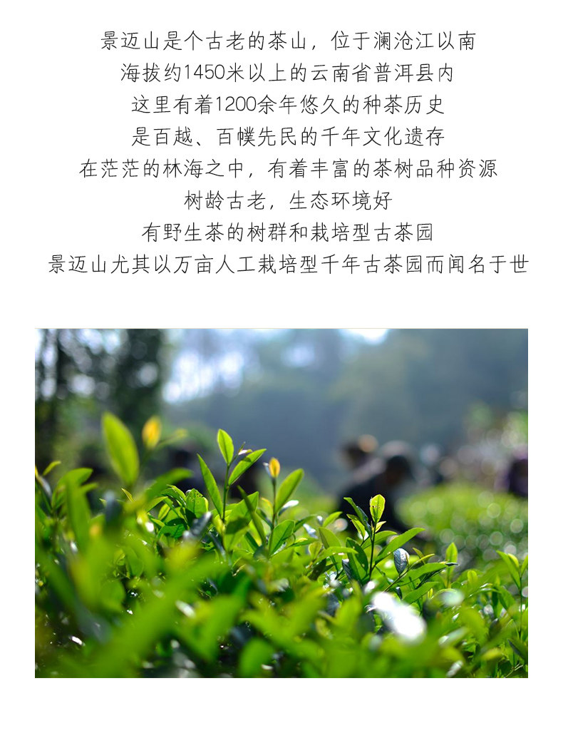 修改_03.jpg