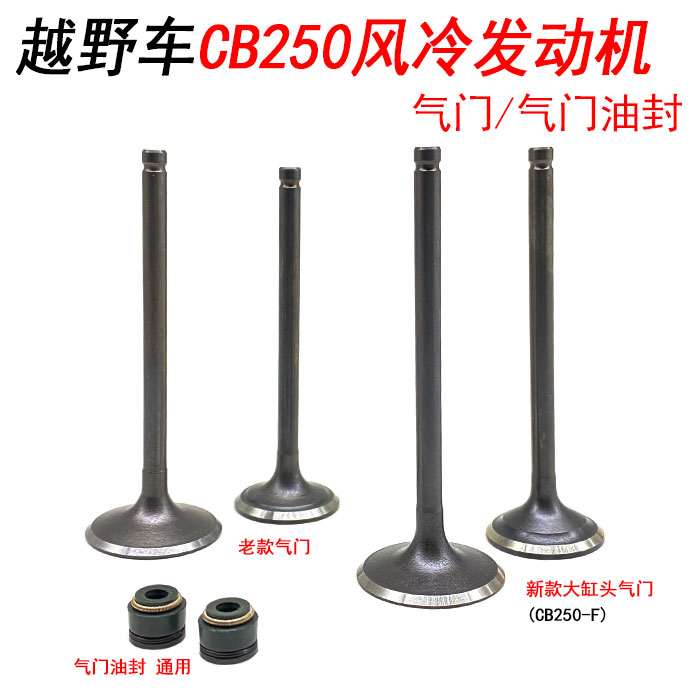 Zongshen whiteboard machine CB250 new large cylinder head off-road vehicle engine intake and exhaust valve oil seal lock clip