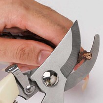 Dead branches old branches new branches collage cutting decoration sharp stone painting labor-saving handmade thick branches stainless steel scissors