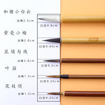 Painted lines special fine flowers and birds stone paintings landscape and ink special meticulous paintings Chinese paintings flowers beautiful stone brush sets