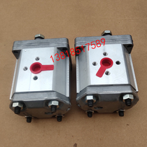 Boden High Pressure gear Pump BAP2B1D16C2E3 4 6 10 12 14 18 20 25 28 30C2E3