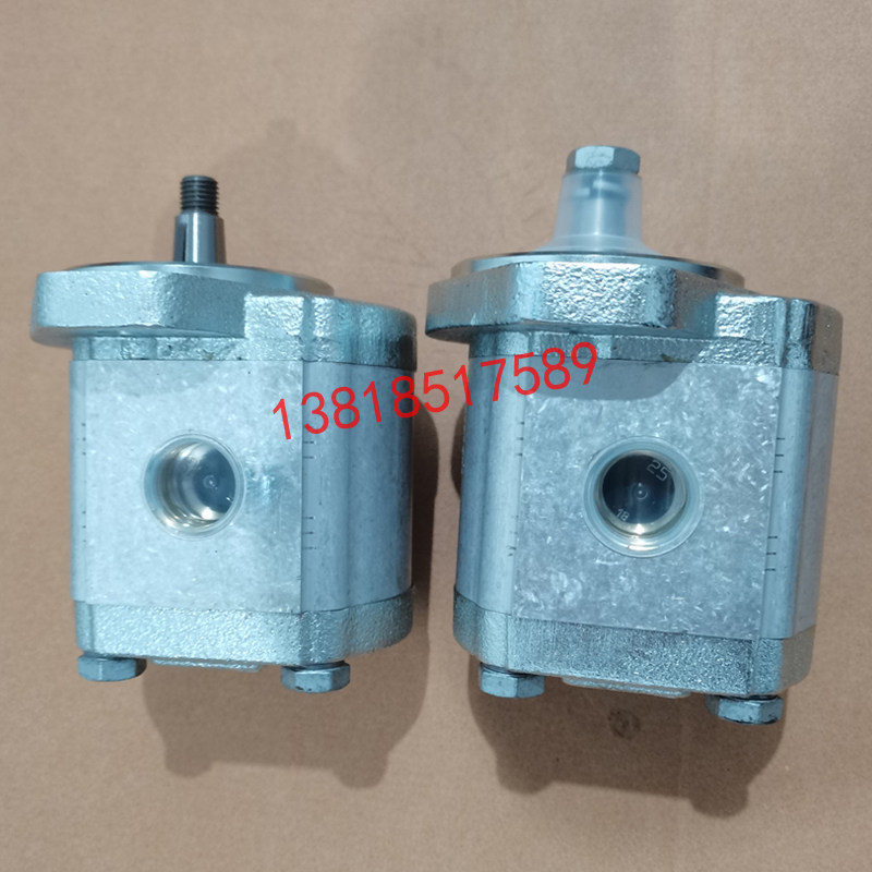 CASAPPA CASAPPA PLP20 14D0-82S1-LGE GD-N-EL high pressure gear pump original Italy