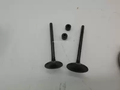 LHMOTO Jinan Tibetan mastiff off-road QM200GY-B locomotive valve oil seal spring upper and lower seat rings