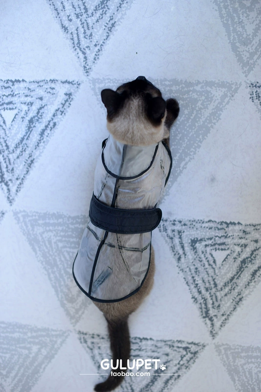 Pet quần áo poncho nhỏ vừa chó cưng quần áo mỏng không thấm nước giải phóng mặt bằng phù hợp với áo mưa chó - Quần áo & phụ kiện thú cưng áo lân cho mèo