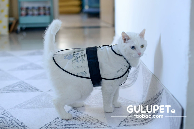 Pet quần áo poncho nhỏ vừa chó cưng quần áo mỏng không thấm nước giải phóng mặt bằng phù hợp với áo mưa chó - Quần áo & phụ kiện thú cưng