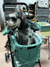 Коляска для животных 轻便可折叠宠物手推车推车狗狗猫咪包分离笼外出小型宠物车