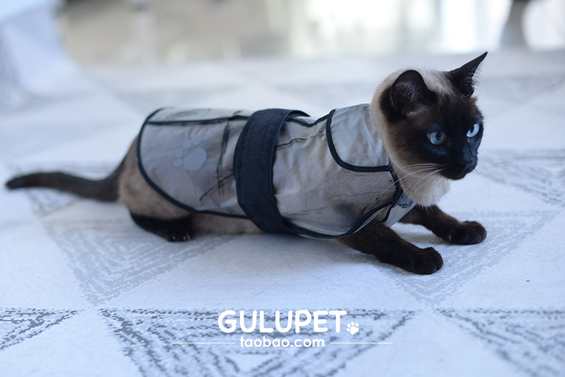 Pet quần áo poncho nhỏ vừa chó cưng quần áo mỏng không thấm nước giải phóng mặt bằng phù hợp với áo mưa chó - Quần áo & phụ kiện thú cưng bộ quần áo thú cưng
