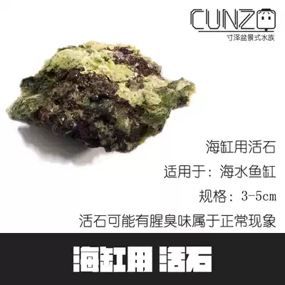 Inze micro-cylinder mini sea water tank clown fish tank special small live stone