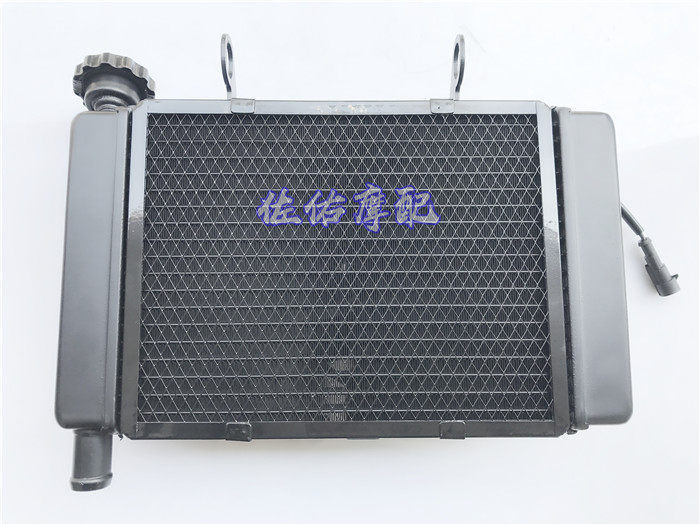 Little lion BJ250 water tank assembly Radiator assembly Little lion 250 fan cooling box