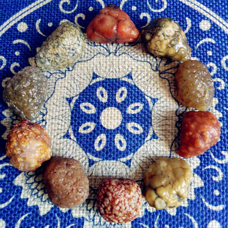 Selection of Allah good fish eggs blood vein red gluten Manau Montenegrin grape agate hand strings eye original stone grass flowers Old leather