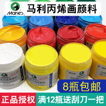 Horsepower acrylic pigment 100ml set 12-color beginner hand-painted clothes shoes do not fade stone painting diy